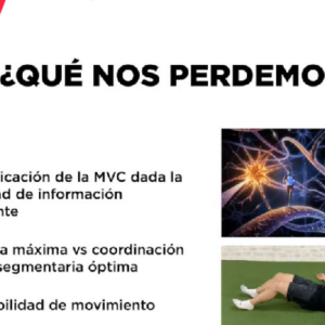 BLOQUE MENTORSHIP 3 – Rendimiento humano