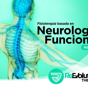 Fisioterapia basada en la neurología funcional (Madrid – MAYO 2024)