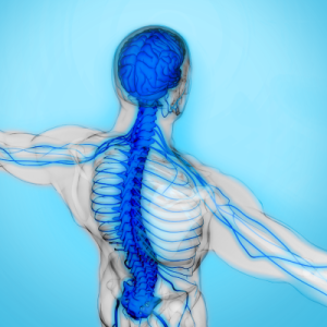 Curso de Neurología Funcional metodología Neuro ReEvolution